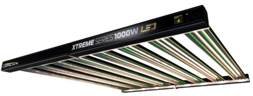 DimLux LED Xtreme Series 1000W